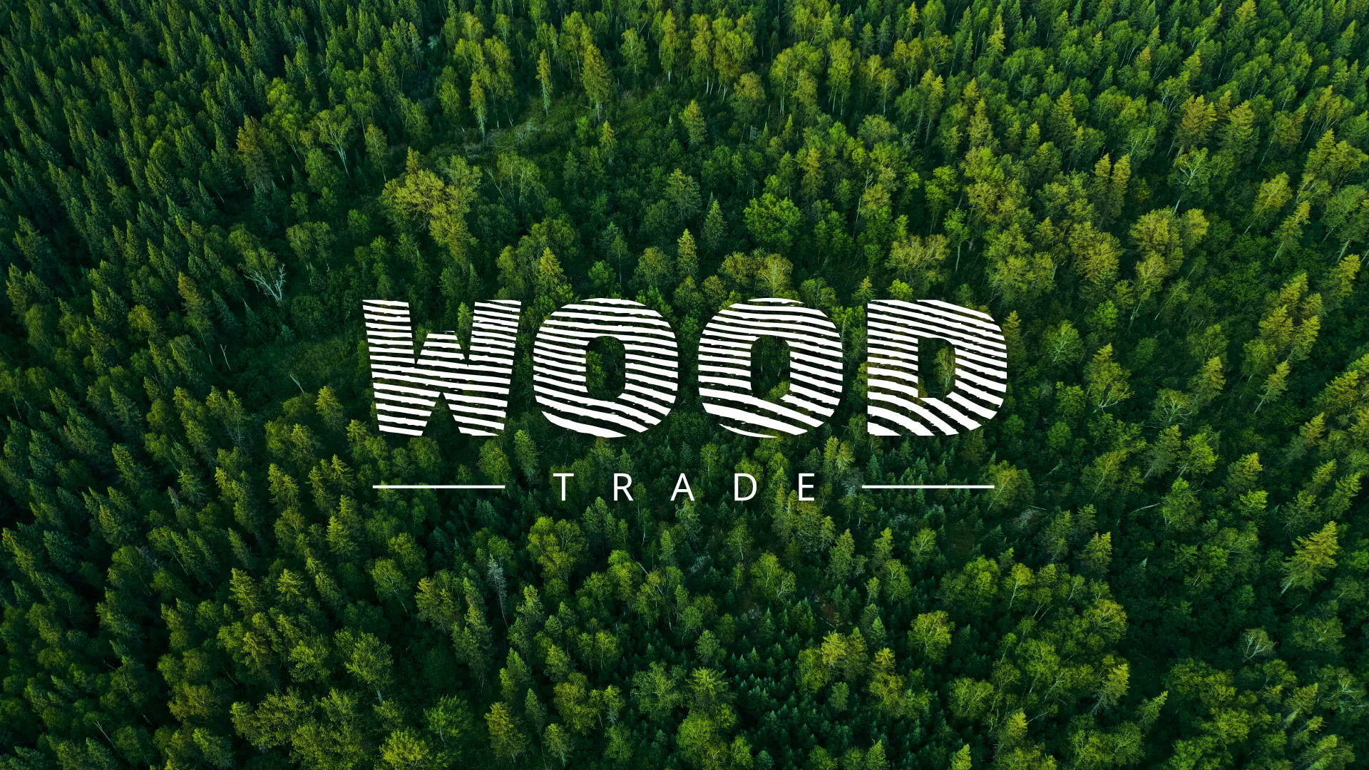 Разработка интернет-магазина компании «Wood Trade» в Грязовце